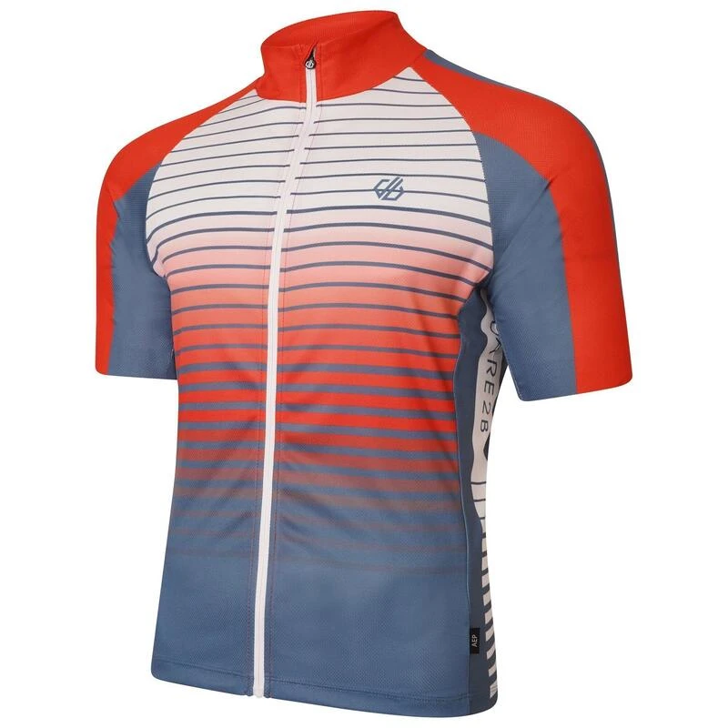 Dare 2b Maillot De Cyclisme VIRTUOUS Homme (Bleuet) – Image 3